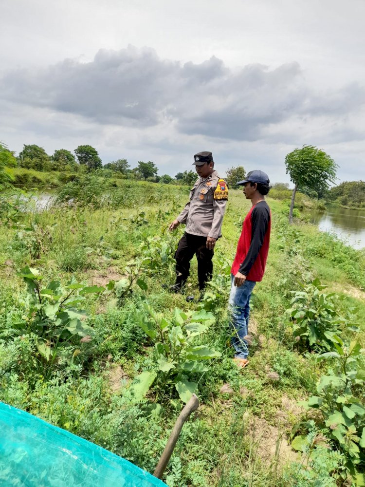Bhabinkamtibmas Desa Dukuh Sari Bersama Kelompok Tani Cek Lahan P2B, Dukung Ketahanan Pangan Nasional